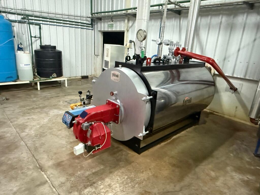 WhatsApp Image 2026-01-02 at 14.39.24